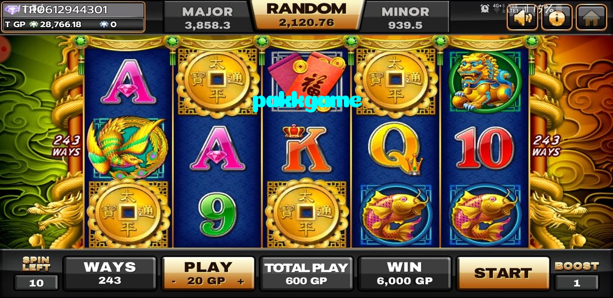 pakkgame